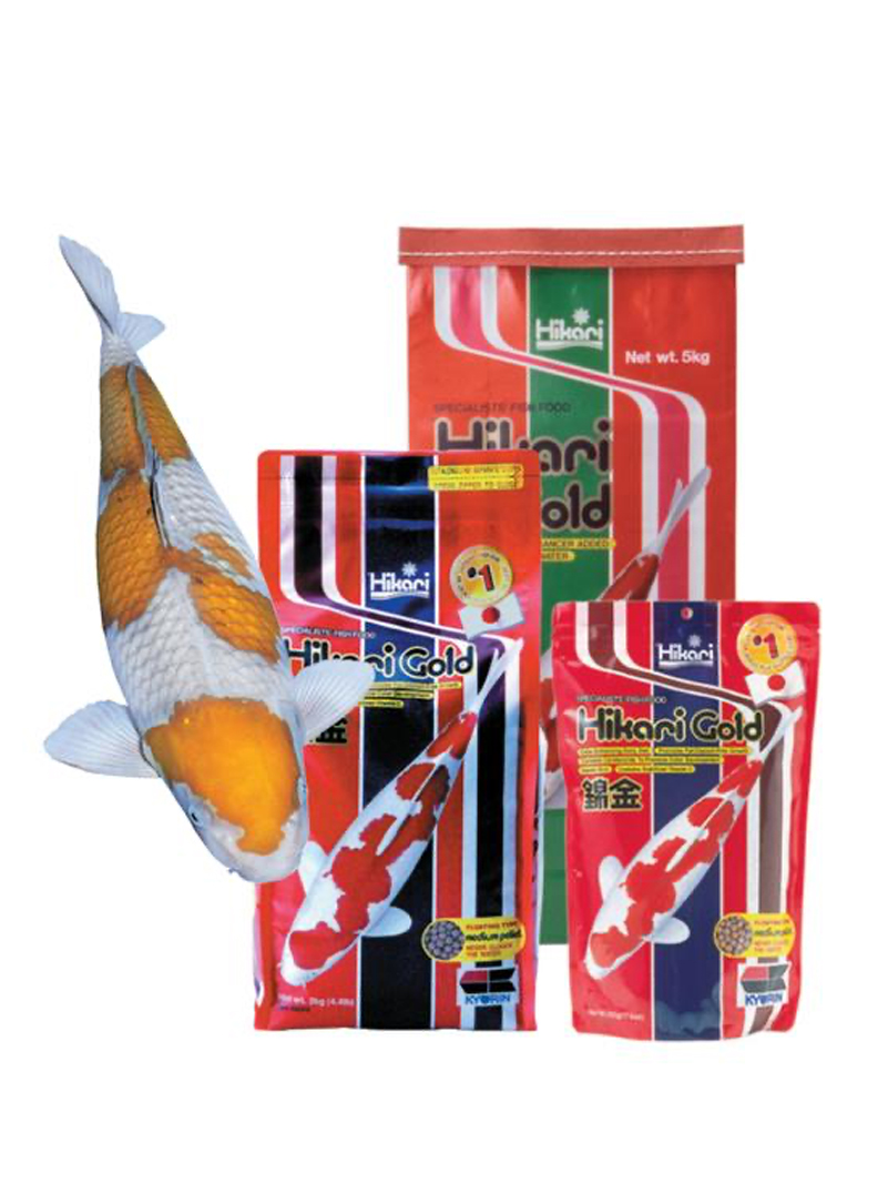 Hikari Koi Gold 5kg S