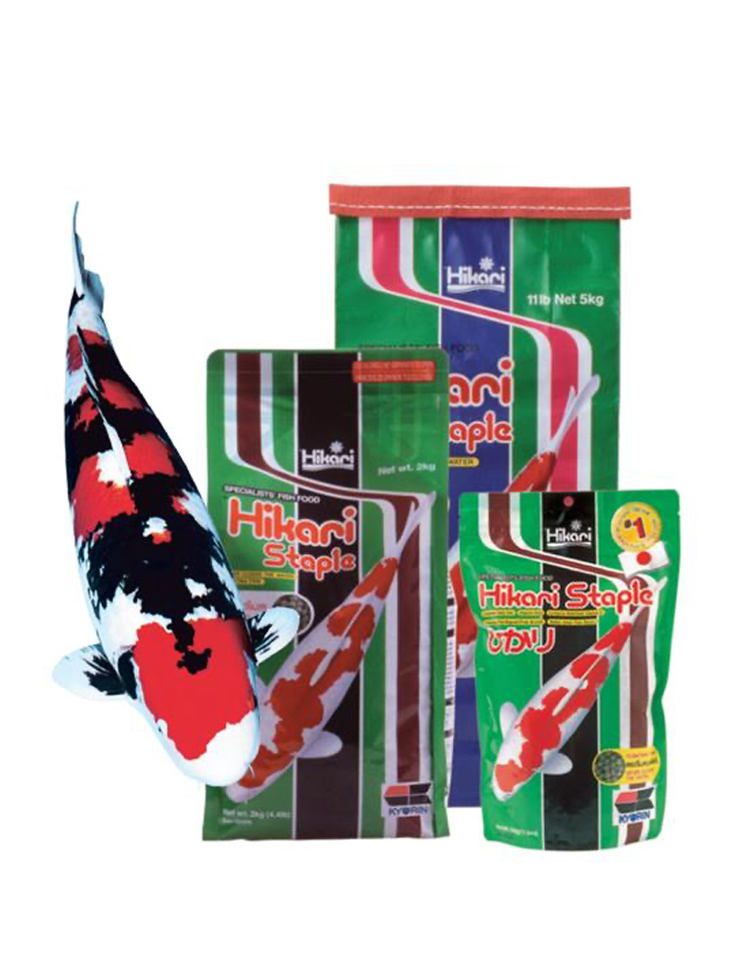 Hikari Koi Staple 5kg L