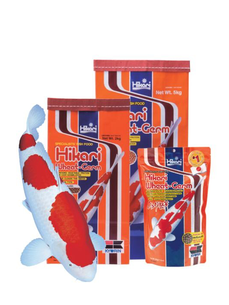 Hikari Koi Wheat Germ 5kg M