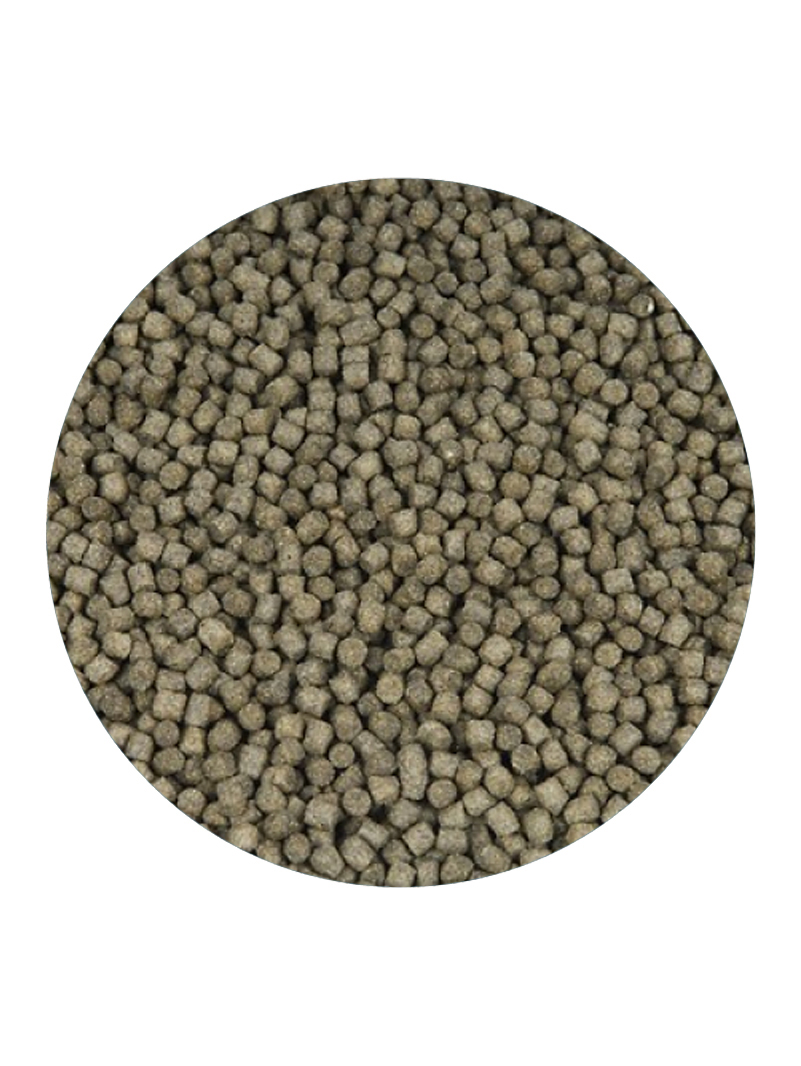 Takazumi Growth 12kg 6mm