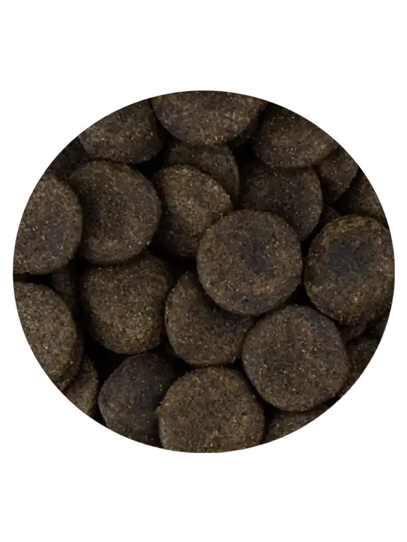 Vivani Gulden Koi Przekąska 2,5L 1kg