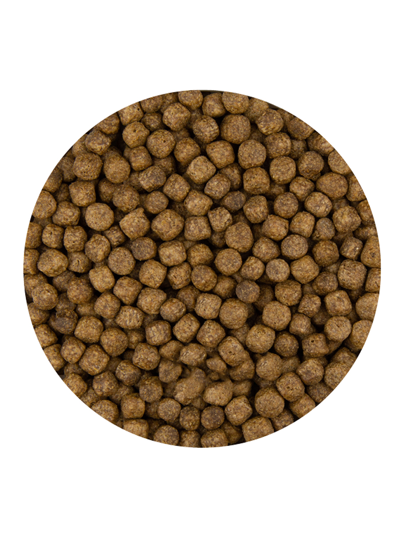 Vivani Pond Pellet 6mm 15kg