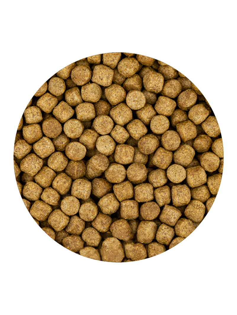 Vivani Wheat Germ Jesień-Wiosna 6mm 15kg