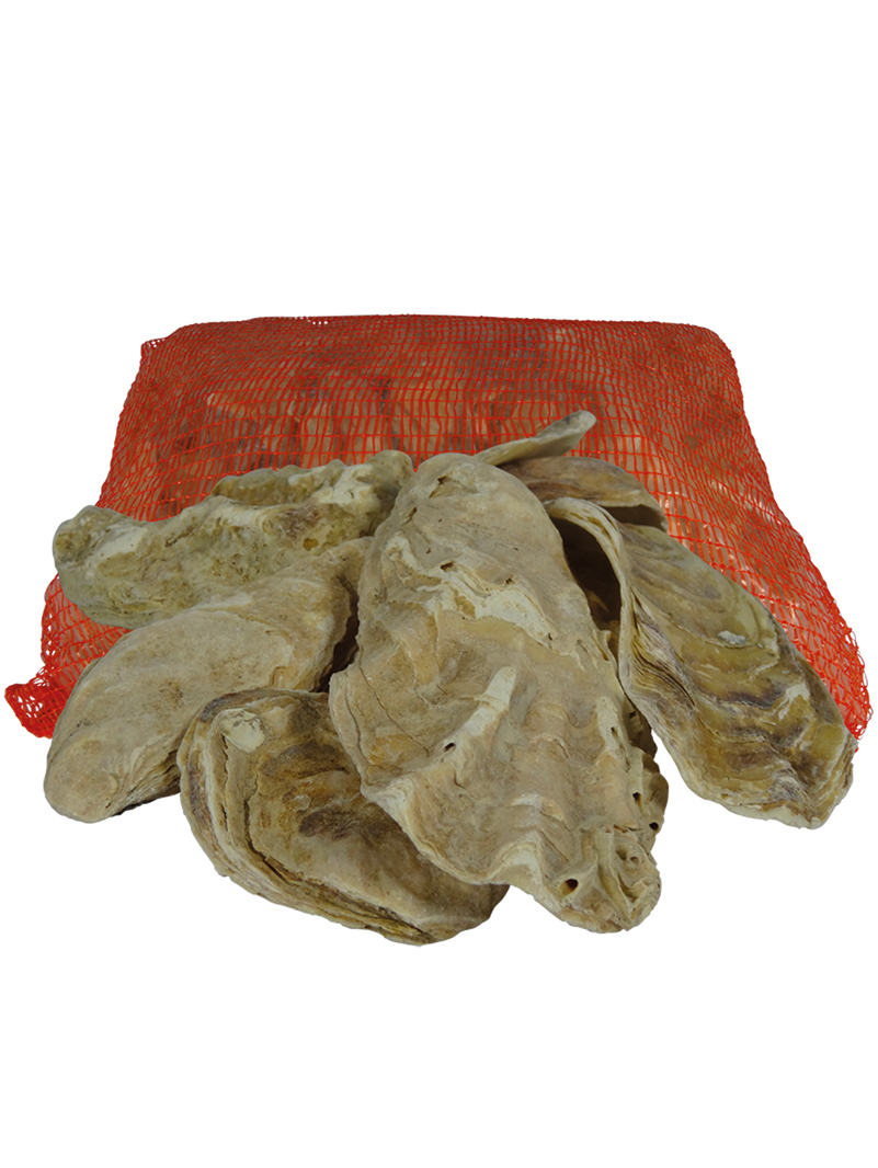 Air Aqua Muszle Ostrygowe 5kg