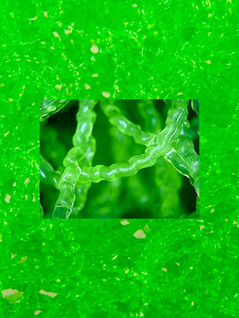 Mountain Tree Spiralna Mata Filtracyjna 120x100x4 cm