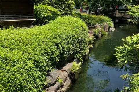 WhatsApp Image 2026-03-12 at 17.51.26-2