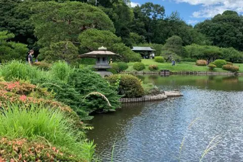 WhatsApp Image 2026-03-12 at 17.51.26