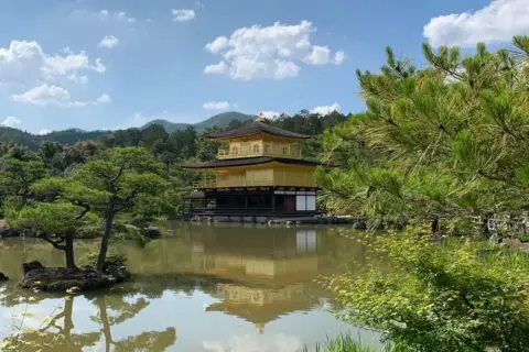 WhatsApp Image 2026-03-12 at 17.51.27-2