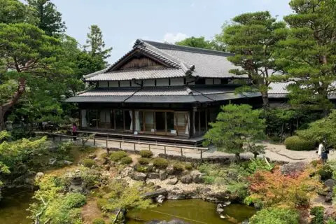 WhatsApp Image 2026-03-12 at 17.51.27