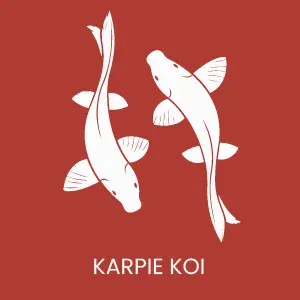 Karpie Koi