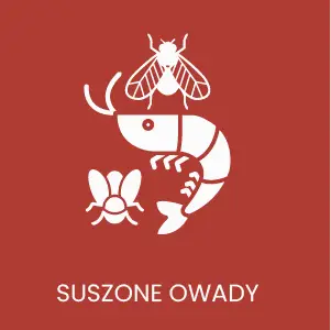 Suszone owady